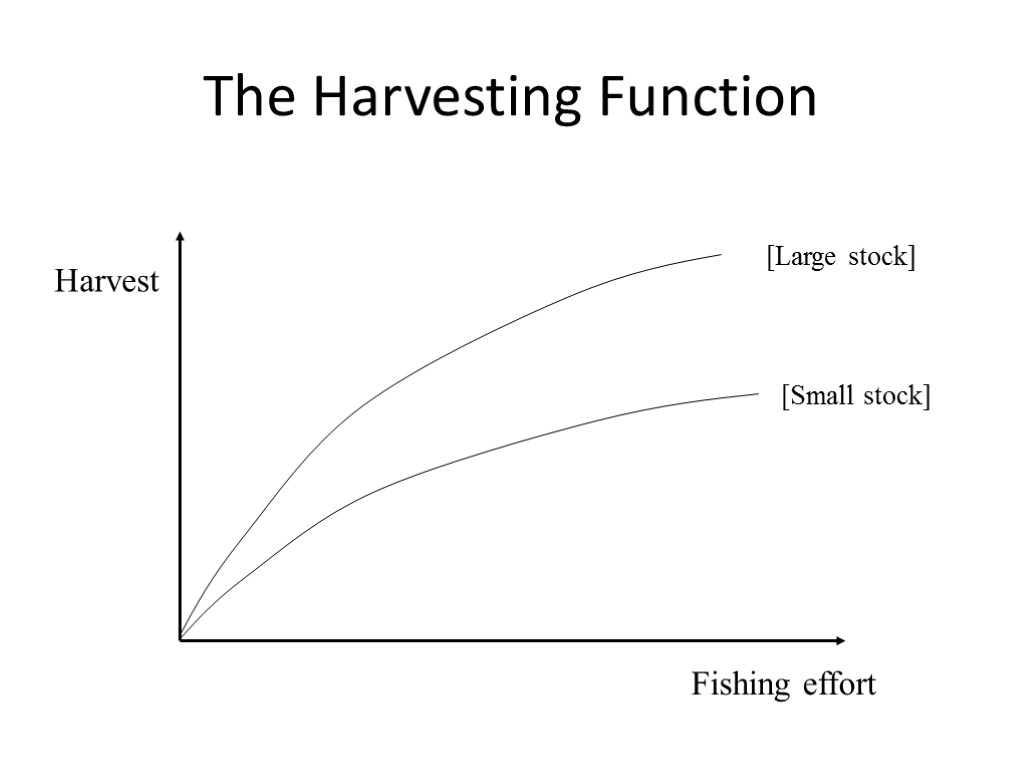 The Harvesting Function Harvest Fishing effort [Small stock] [Large stock]